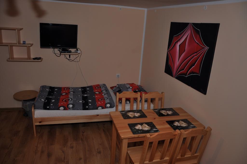 Noclegi U Andrzeja ドゥシュニキ・ズドルイ 部屋 写真